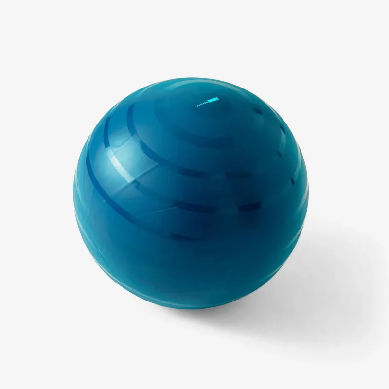 55 cm swiss exercise ball durable stable for fitness